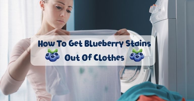Get Blueberry Stains Out Of Clothes